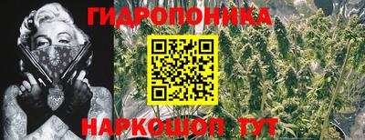 МДПВ Кандалакша