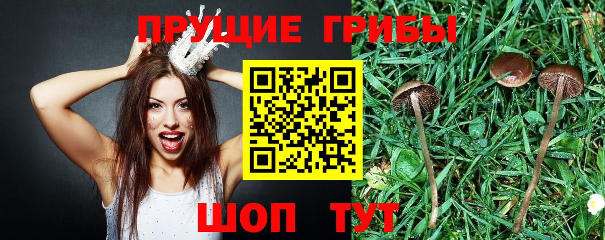 Галлюциногенные грибы мухоморы Лабинск