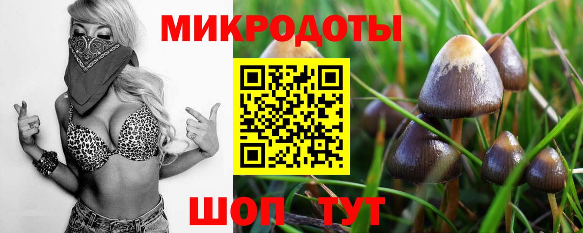 Лабинск  Галлюциногенные грибы мицелий  Вход с VPN 